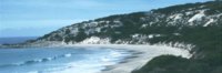 boat harbour.jpg
