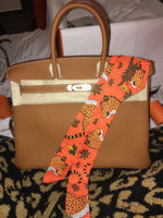 ImageUploadedByPurseForum1461395738.301216.jpg