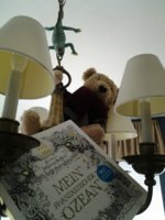 Bear goes rogue(1).jpg