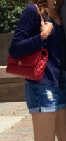 ImageUploadedByPurseForum1461462833.190079.jpg