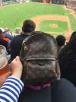 ImageUploadedByPurseForum1461552344.438974.jpg