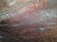 ImageUploadedByPurseForum1461586360.566592.jpg ImageUploadedByPurseForum1461586360.566592.jpg
