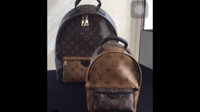 ImageUploadedByPurseForum1461736359.356215.jpg