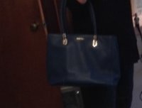 blue bag model.jpg