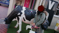 IMG_3836.PNG