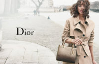 lady-dior-marion-01.jpg