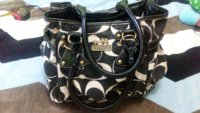 marmar.13ulrubx fake coach 2 front.jpg