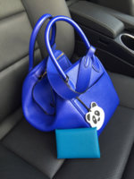 ImageUploadedByPurseForum1461981815.269566.jpg
