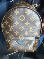 ImageUploadedByPurseForum1462024973.985374.jpg