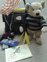 Bear improves bays.jpg