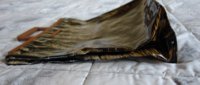 DSC08457.JPG