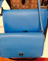 ImageUploadedByPurseForum1462050897.386356.jpg