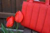 2016 05 01_0867_800x533.JPG