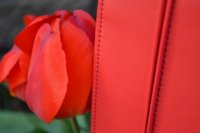 2016 05 01_0869_800x533.JPG