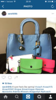 ImageUploadedByPurseForum1462156389.480810.jpg