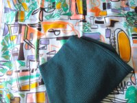 mod trop with green.JPG