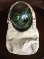 front.jpg