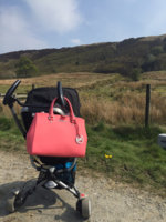 ImageUploadedByPurseForum1462637020.050565.jpg