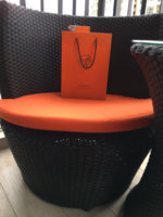 ImageUploadedByPurseForum1462720347.205407.jpg
