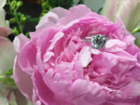 ImageUploadedByPurseForum1462756116.524378.jpg