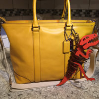 ImageUploadedByPurseForum1462920344.567015.jpg