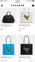 ImageUploadedByPurseForum1463163441.749848.jpg