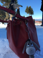 ImageUploadedByPurseForum1463238639.297579.jpg