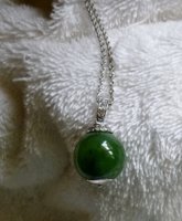 P1020178.jpg