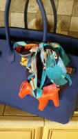 poppy rodeo 004.jpg