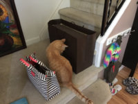 ImageUploadedByPurseForum1463596458.522180.jpg ImageUploadedByPurseForum1463596458.522180.jpg