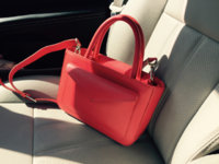 ImageUploadedByPurseForum1463603395.030341.jpg