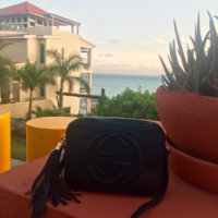 ImageUploadedByPurseForum1464221723.562483.jpg