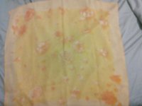 rps20160527_152429_448.jpg