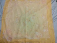rps20160527_152501.jpg