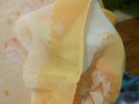 rps20160527_152527_951.jpg