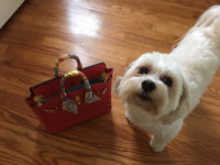 ImageUploadedByPurseForum1464391432.211443.jpg