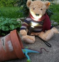 Bear tells ghost stories_resized.jpg