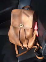 ImageUploadedByPurseForum1465134663.086132.jpg