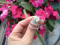 20160606_185318.jpg