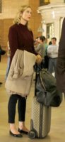 luggage tote.jpg