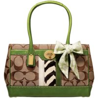 Hamptons Large Signature Zebra Tote 11561.jpg