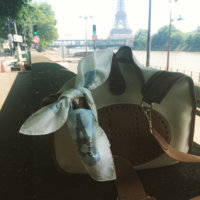 ImageUploadedByPurseForum1465547845.316997.jpg