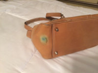 MRpurse2.jpg