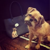 ImageUploadedByPurseForum1466556590.540946.jpg