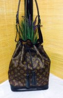 dyed LV noe.jpg