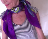 la pegase stripes.jpg