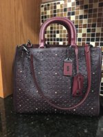 ImageUploadedByPurseForum1466628213.430034.jpg