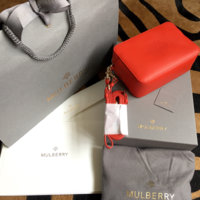 Mulberry sale purchase- blossom pochette | PurseForum