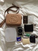 ImageUploadedByPurseForum1467471881.802635.jpg