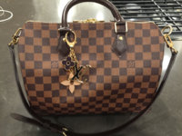 ImageUploadedByPurseForum1467651607.352010.jpg